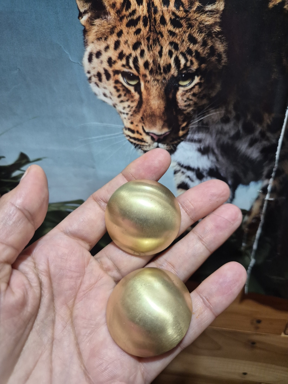 Gold Dome Clip-On Earrings - Classic Women’s Jewelry